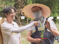 168电竞官网：《王者荣耀》策划种田直播引发热议