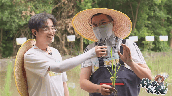 168电竞官网：《王者荣耀》策划种田直播引发热议